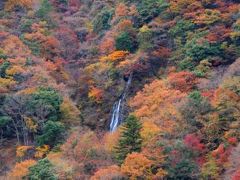 道志みちを紅葉を見ながらのんびりドライブ