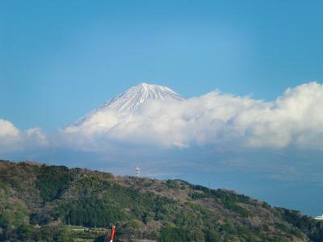 昨年の富士山とは大違いコバルトブルーの空の雲の上に浮かぶ富士