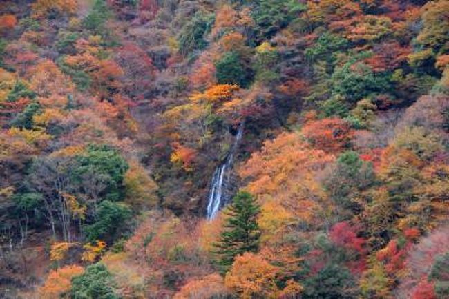 道志みちを紅葉を見ながらのんびりドライブ 都留 道志 山梨県 の旅行記 ブログ By ゆっきさん フォートラベル 道志みちを紅葉を見ながらのんびりドライブ 都留 道志 山梨県 の旅行記 ブログ By ゆっきさん フォートラベル