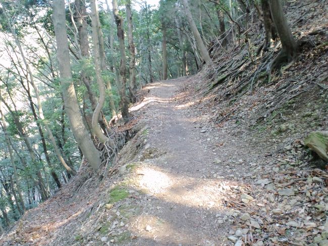 ちょっと気楽に山を登ってきました<br />いい運動になりました