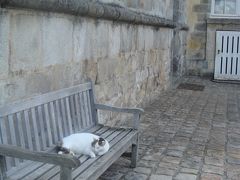 フランス旅行　2007　その１　～フォンテーヌブロー～