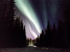 ALASKA（アラスカ）オーロラ夜物語