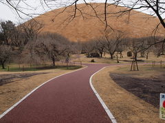 ２０１０年２月　バリアフリーの遊歩道が整備された 伊豆高原さくらの里 と東急ハーヴェストクラブ伊東のユニバーサルルーム