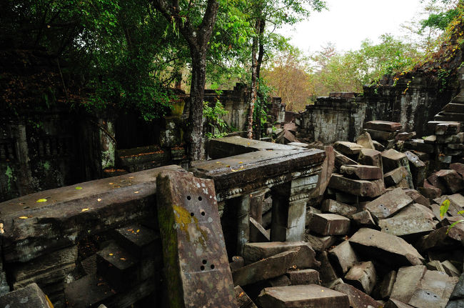 カンボジアでの3日目。とうとう最終日になってしまいました。いろいろ見て回れたので、もっと長く居るような気もしてきましたが…。　<br /><br />最終日の午前中はアンコール・ワットから40km離れた場所にあるベンメリアの遺跡。森の中で未だに修復されていないお寺です。<br /><br />一説にはペルーのマチュピチュと、このタ・プロームは「天空の城ラピュタ」のモデルだとか。大好きな映画なので両方見たかったんです。<br /><br />ジャングルにひっそりと埋もれた寺院はどことなくラピュタに似ていました。<br />
