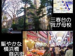 三春台＆横浜橋商店街＆酔来軒