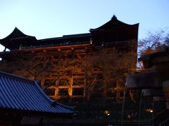 京都・東山・花灯路に魅せられて