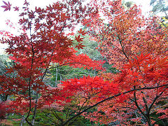 信夫文摺観音　　福島県