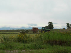 2009.08 旭川・美瑛・札幌の旅　-2-　美瑛編