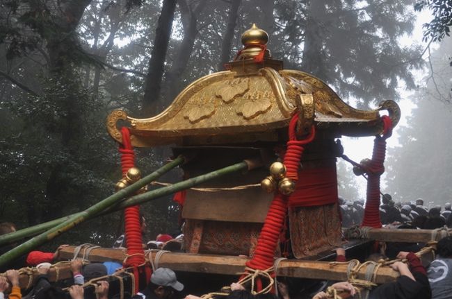 午前中に大津市の日吉大社で行われた＜神輿上げ＞っていう山王祭の神事の撮影に！<br />　境内にある八王子山頂上の奥の院まで、二基の神輿を担ぎ上げる神事で<br />　結構な体力勝負でした＾＾；；；<br /><br /><br />＜神輿上げ神事＞<br />八王子山山頂付近にある牛尾宮・三宮宮へ２基の神輿を麓から遷す神事。4月12日の「午の神事」までの間、魂を浄化され、またお見合いをされているとも伝えれられています。神職は3月１日より４月12日まで毎日山を登り、灯明を献じます。<br /><br />　　本祭は4/12〜4/14<br /><br />4月12日　　17時　＜午の神事＞ <br />駕輿丁と呼ばれる神輿を担ぐ人々が八王子山頂付近より東本宮へ急な石段やカーブを松明の火に導かれて神輿を遷す様子は大変勇壮であります。また、東本宮拝殿での神事は神輿の後ろと後ろを繋ぐことから、「尻繋ぎの神事」とも呼ばれており、大山咋神と鴨玉依姫神の婚儀を模したとされます。<br /><br />4月13日　　 13時　＜花渡り式＞<br />夕刻に迎える御子神のご誕生をお祝する献花の神事。地元各町内の稚児が長い行列を作って参道を歩き、宵宮場の神輿に拝礼をいたします。<br /><br />4月13日　　 18時　＜宵宮落とし神事＞<br />御子神誕生の神事で、山王祭神事中最も勇壮な儀式。誕生に先駆け駕輿丁は４基の神輿を激しく揺さぶりますが、これは「神輿振り」といわれ、陣痛の苦しみを表現していると云われています。誕生寸前、様々な口上や獅子舞などが行われ、最後に山王祭実行委員長が祭文を奏上、その奏上が終わると同時に1メートル強の壇上に奉安されている神輿が地面に担ぎ出され、その瞬間が御子神誕生の時であります。その後駕輿丁は神輿を西本宮へ遷し、ここで山王七社の神輿が勢揃いします。また、この神事でご誕生される御子神は京都上賀茂神社のご祭神賀茂別雷神であり、葵祭との関連性を伺うことができます。<br /><br />4月14日　　 13時30分　＜神輿神幸・船渡御＞<br />4月３日に大津の天孫神社へ渡御していた大榊が還御した後、「扇の手」と呼ばれる人々の扇の合図と共に7基の神輿が拝殿から出されます。神輿は日吉大社を出発後日吉の馬場を下り下阪本の七本柳に遷され、儀式の後、御座船に乗り唐崎沖へと渡御して行きます。<br />＜以上日吉大社山王祭の説明文より＞<br /><br /><br /><br /><br /><br /><br />