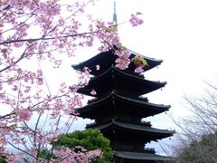 母娘旅①　春の京都へ