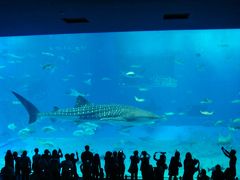 夫婦3組で沖縄へ♪～3日目 美ら海水族館編～