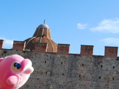 【イタリア旅行】 ４．ピサ編（3日目前半）