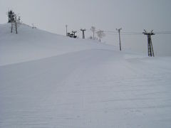 北海道でスキーを楽しむ
