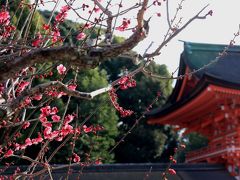 京都世界遺産めぐり　「賀茂御祖神社（下鴨神社）」 ２回目