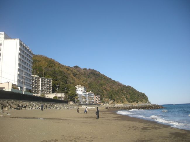 静岡県の伊豆熱川温泉、ホテルカターラ福島屋に宿泊しました。<br /><br />全室オーシャンビューの素敵なホテルです。<br /><br />オープンテラス、ジャグジー、ジャングルスパなど開放的でリゾート感のあるホテルですが、循環なしの温泉です！<br /><br />車でも電車でも、東京から約２時間で行かれるのがまたいいですよね♪<br /><br />(写っているホテルは、カターラ福島屋の外観ではありません・・・)