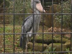 千葉市動物公園へ行こう！