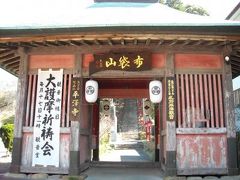 早春の花を眺めて、平澤観音（平澤寺）を訪ねる！