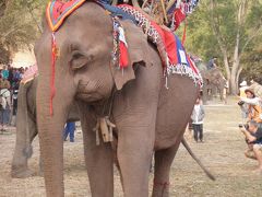 ラオス北部・北タイ旅行記2010.2 その４　サイニャブリ象祭り１日目