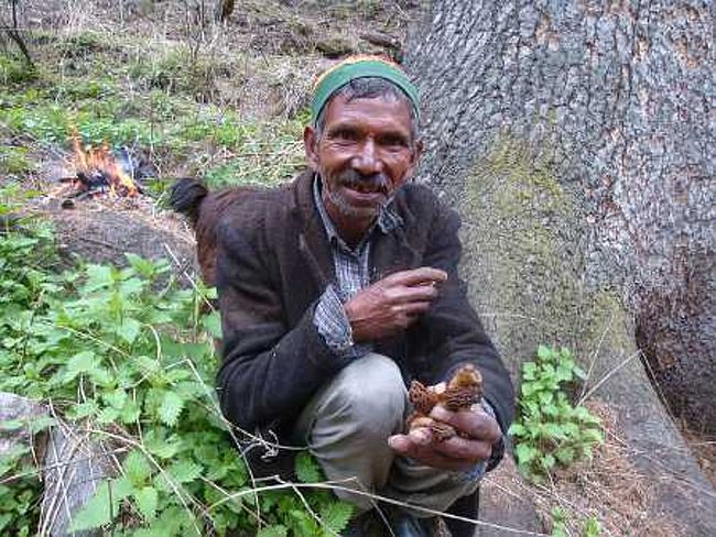 インド 秘湯キルガンガ インドの山奥で 温泉 その他の都市 インド の旅行記 ブログ By 世界攻略者さん フォートラベル