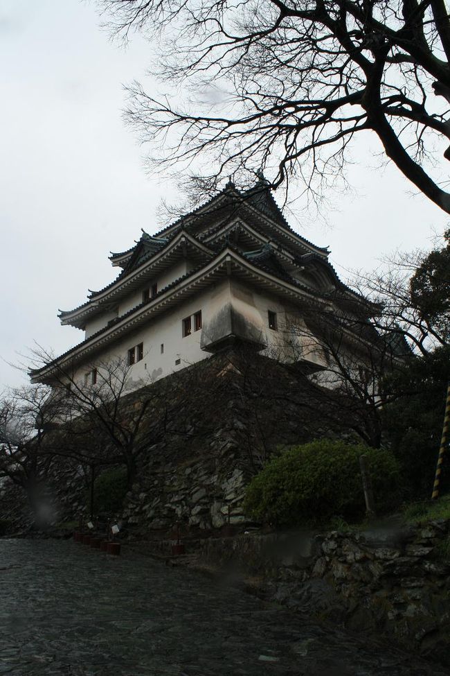 和歌山へ日帰りで行って主要な観光スポットをみてきました<br />夜行バスで大阪まで行ってそこから特急で約一時間。<br />