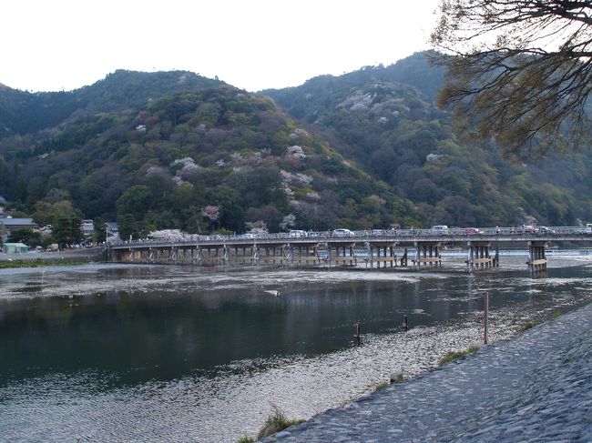 　京都嵐山の桜を見に行った。渡月橋から山の麓に多宝塔か三重塔らしい建物だ見える。橋を渡った2、3軒の土産屋で多宝塔か三重塔かを聞いてみたが誰も分からない。帰ってから地図を見ると法輪寺に多宝塔と書いてある。門前で商売していてもお寺には行ったことがない人が多いのは困ったものだ。<br />　夕暮れが迫りつつあるので嵐山公園（中之島地区）の桜を見て帰ることにした。途中の踏み切り手前で天皇陵があるというので参拝した。戦時中に造陵され、住民が立ち退きさせられたと古老が話してくれた。長慶天皇陵である。明治維新後に天皇と認められ、御陵が築かれた弘文天皇（大友皇子）陵はお参りしてきたので知っていたが、長慶天皇は南北朝時代の天皇で、大正15年10月21日付詔勅により皇統に加えられたそうだ。長慶天皇は弘文天皇よりも700年前後も後世の天皇であるが、陵が築かれたのは140年近くも後になってのことになった。弘文天皇陵には宮内庁職員が一人だけ詰めていたが、時間が遅いからだろうか、長慶天皇陵では職員を見かけなかった。天智陵では宮内庁職員が3人も詰めていた。ふと、墓守の数がどのように決まっているのかが疑問に思えてきた。<br />（表紙写真は嵐山渡月橋）