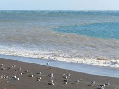 年末年始　ポルトガル　中編(マデイラ島）