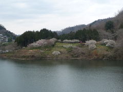約１万本の梅が咲く『月ヶ瀬梅渓』（奈良市月ヶ瀬）