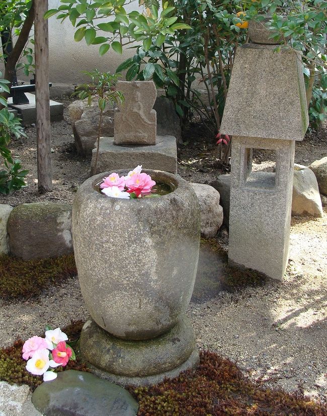 桜の如く散る 武士 もののふ 椿 大和三名椿 奈良市 奈良県 の旅行記 ブログ By Canadianさん フォートラベル