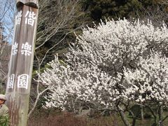 日帰り一人旅【茨城県】①　偕楽園　梅まつり