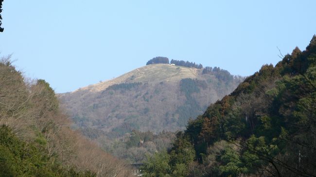  大野山登山･2009年2月15日（日）【晴のち曇】  <br /><br /> 大野山（標高723.1m）　 <br /> 所要時間  往路：約2時間20分・復路：約1時間20分 <br /> コース：山北駅8:25発→大野山10:45着・11:25発→谷峨やが12:45着 <br /> 万歩計歩数:約20,000歩 <br /> 使用地図:山と高原地図「丹沢」（昭文社） <br /> 使用交通機関:ＪＲ御殿場線 <br /><br />　４週連続の晴の日曜日を利用し、４度目の富士山展望登山に大野山を選んだ。<br />　花粉の飛散量が多い時期、しばらく登山は控える為この冬最後のトレッキングを締めくくる日帰り登山であったが、天気予報より早く雲が広がり山頂では富士山を望むことはできなかった。<br />　また、下山地の谷峨では花粉で茶色に変色した木々から煙のように花粉が噴出しているのを目撃し、それから花粉症の症状が出た為、山とはしばらくお別れというのを実感した。<br />　コースは気軽にハイキング気分で歩けるので、またいつかリベンジして今回とは逆コースから歩きだし、帰りは山北の山小屋風カフェに立寄って帰りたいと思う。 <br /> <br /> <br />