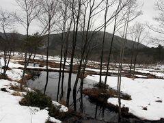 ひとり旅 ［694］ 雪国から…と言っても広島からです。＜八幡高原 霧ヶ谷湿原＞広島県北広島町