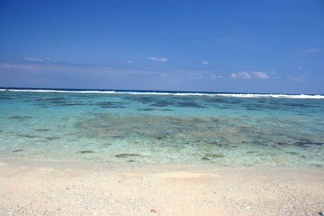 1日沖縄にいられた日は、極寒!<br />薄いジャケットしか持っていなかったので、つらかった…<br />それでも、ドライブしたり、カフェに行ったり、水族館に行ったり、沖縄らしい時間を過ごしました。<br /><br />(写真は、晴れた最終日に撮った古宇利島のビーチです。)