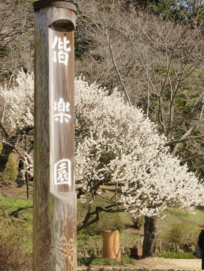 偕楽園・梅まつり