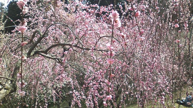 友人に梅見に行こう!と誘われて、津山の梅の里公園へ。<br /><br /><br />ついでに道の駅「久米の里」でガンダムを見学<br /><br />さらに、のとろ温泉にも寄ってきました。