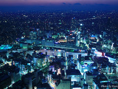 「日本の夜景１００選」　池袋サンシャイン６０、展望台からの夜景　と　父親の威厳　/　東京都豊島区