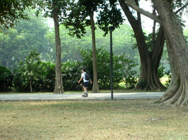 Singaporeリリーに会いたくて　普段着のシンガポール⑤超ロングな癒しの森イーストコースト・パーク