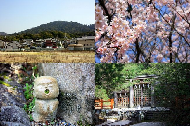 日本最古の神社と言われる大神神社(三輪明神)へと行ってきました。<br />大神神社は本殿を持たず，拝殿の奥にある三輪山を御神体として祀っています。<br />日本屈指のパワースポットとして良く紹介されていますね。<br /><br />訪れた日は天気も良かったので，山の辺の道に沿って，大神神社～狭井神社～玄賓庵～檜原神社～久延彦神社と回ってきました。<br />もちろんお昼は三輪そうめん。<br /><br />途中，満開の彼岸桜や土筆を見つけ，春の到来を感じた一日となりました。<br />