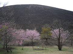 MTBでウロウロ…　=大室山・伊豆高原=