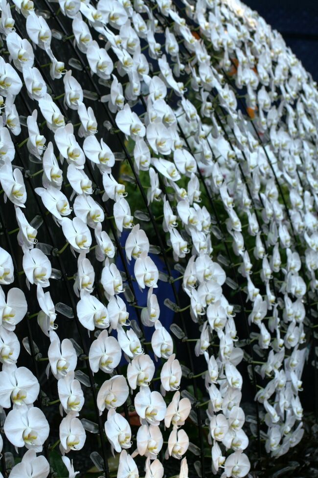 2010年開催のフラワードーム紹介の続きです。東山植物園の出品作などの紹介です。