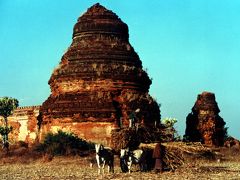３大仏教遺跡・MYANMAR（ミャンマー）のBAGAN（パガン）は広かった！