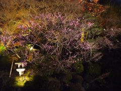 京の散歩道・東山・花灯路2010