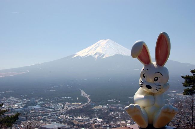 家族4人で河口湖周辺までのドライブをした。3月に入って天候不順の日が続いていたが、この日は雲一つ無い快晴だった。<br />ガイドブック片手に、河口湖周辺をドライブしたが、思いのほか美術館などの施設が多いのに驚かされた。<br />しかし、何と言っても霊峰富士。この日は雲一つ無く大きな身体を終日表していた。3つの湖から見た富士山はそれぞれ表情が異なり、十分期待に応え我々を楽しませてくれた。<br />