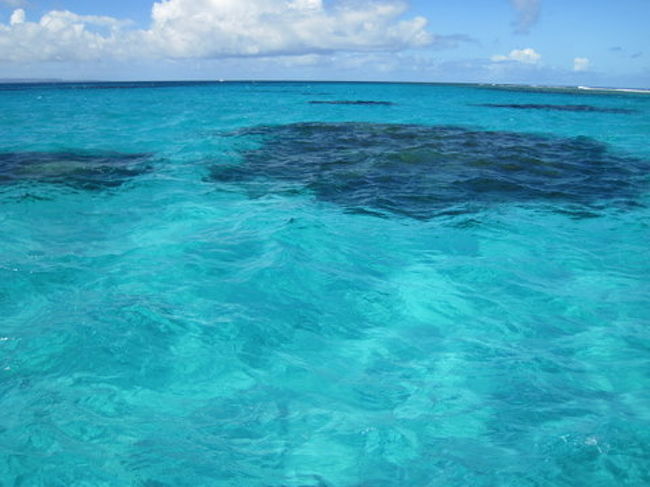 サイパンに行ったら外せないのはマニャガハ島。<br />パラオで初体験したシュノーケルが忘れられなくて、ボートシュノーケルに参加しました。<br />エメラルドグリーンの海の下は、美しい珊瑚礁とお魚ワールド。<br />行くど～<br />ボートでドボン！！<br /><br />パームス・リゾート・サイパン<br />→ハファダイ・ビーチ・ホテル<br />→マニャガハ島沖<br /><br />