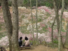 2010年の梅散策ラストは吉野梅郷の梅まつり（1）めいめい楽しもう梅の里