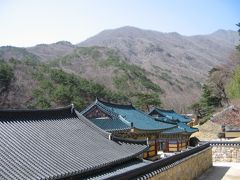 ☆熟年夫婦の釜山旅−１（尼寺・石南寺編）