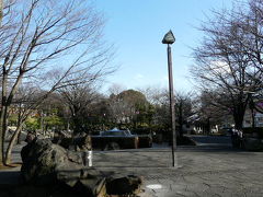 途中下車で飛鳥山公園の桜チェック