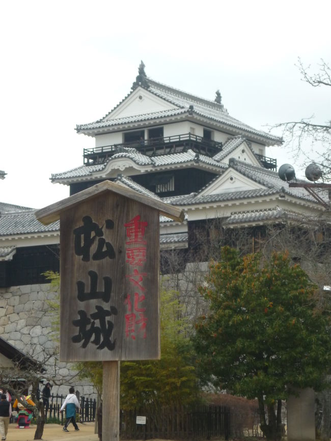 　道後温泉に一泊した後は、お城が大好きな母のために松山城へ。<br />ロープウェイやリフトで上がれるので、健脚自慢ですが高齢の母には行きやすいかと思います。<br />　ここでは、よその団体に付いていたシルバーガイドのお父さんに、ちゃっかりガイドしてもらうという、母の特技を目の当たりにしました。