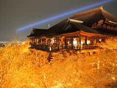 京都・東山花灯路2010