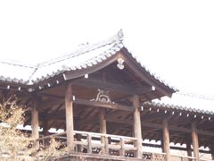 京都東福寺－2008年冬(2)