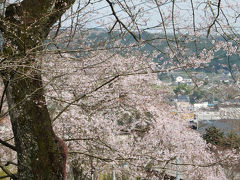 MTBでウロウロ…=芝川・柚野の花=